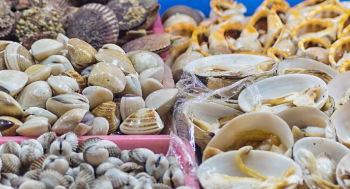 Mixed Shellfish Box – Clams, Mussels & Oysters