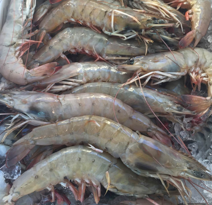 Scallops & Jumbo Shrimp Deluxe Box