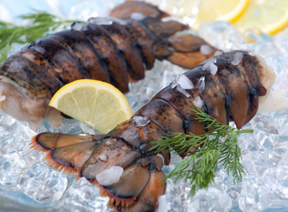 Surf & Turf Box — Filet Mignon + Lobster Tail