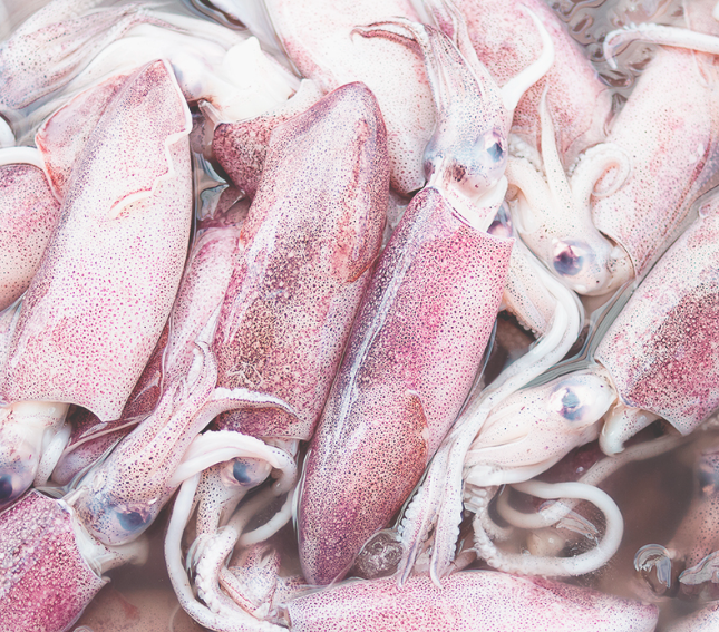 Seafood Stir-Fry Mix (Shrimp, Squid, Shellfish)