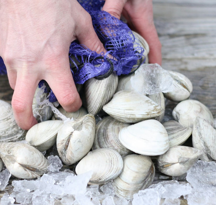 Seafood Pasta Kit (Shrimp, Mussels, Clams)