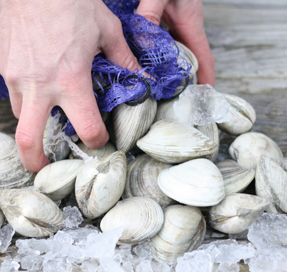 Seafood Pasta Kit (Shrimp, Mussels, Clams)