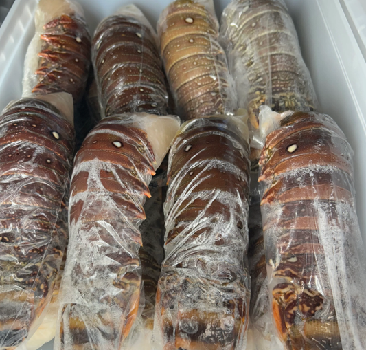 BBQ Lobster & Corn Pack【Value Combo】