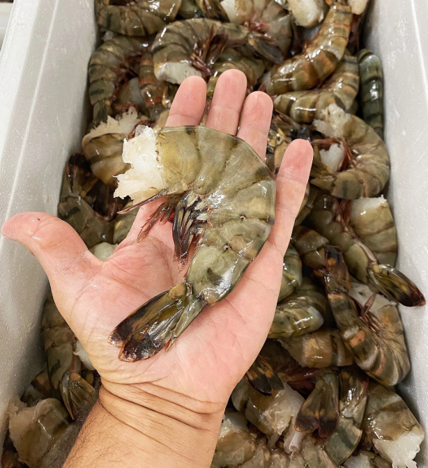 Shrimp Lovers Box – Jumbo, White & Cooked Shrimp Trio