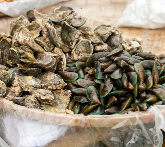 Mixed Shellfish Box – Clams, Mussels & Oysters